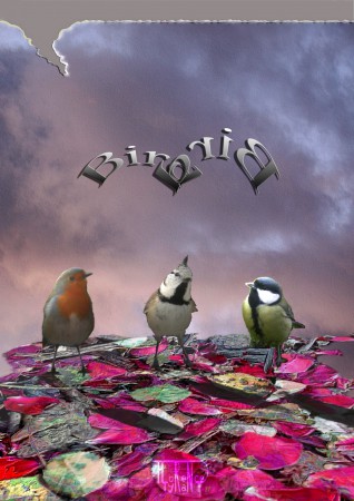 Trois oiseaux debout sur un tas de feuilles avec, à l'arrière une inscription dans le ciel.