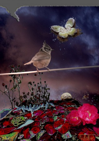 Un oiseau sur un fil surplombant un paysage surréaliste où une bogue ouverte de châtaigne vole à la manière d'un papillon